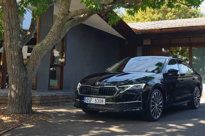 skoda joy
